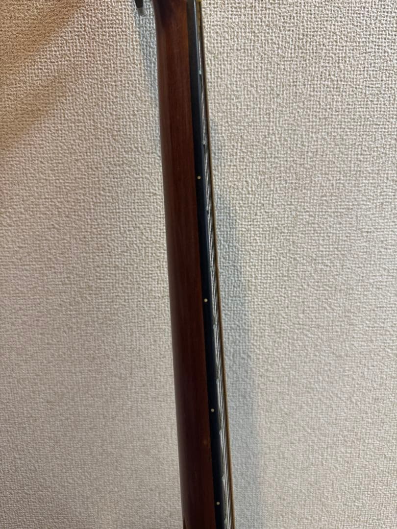 cat's eyesアコースティックギター　ソフトケース付き