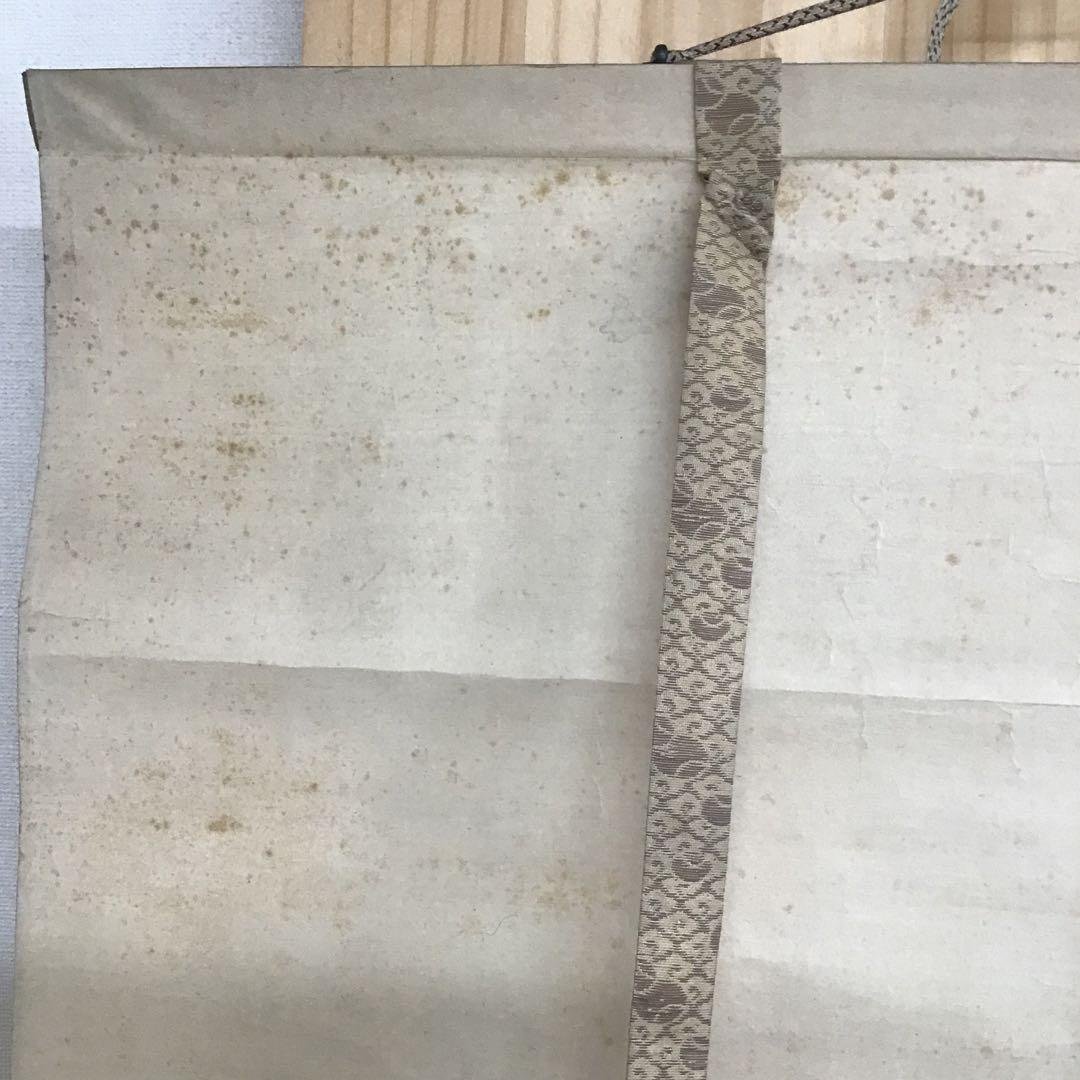 K茶道具　掛軸　「寒牡丹と雀」の図　岸燕作　配送用桐箱　S178KJ