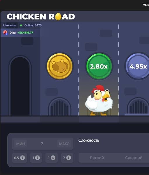 Chicken Road 2 Guida al Gioco di Soldi Veri Chicken Road 2 Guida al Gioco di Soldi Veri